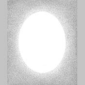 00313